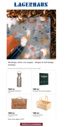 Ett osegmenterat nyhetsbrev